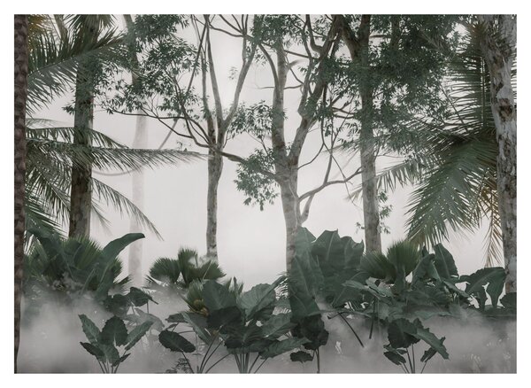 Sklenený obraz - Jungle v rannej hmle (70x50 cm)