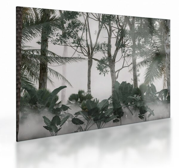 Sklenený obraz - Jungle v rannej hmle (70x50 cm)