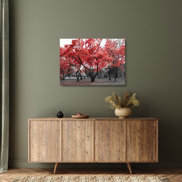 Sklenený obraz - Červené stromy, Central Park, New York (70x50 cm)