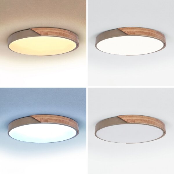 BRILAGI - stmievateľné LED svietidlo PILANA LED/60W/230V dub/béžová priemer 60 cm + diaľkové ovládanie