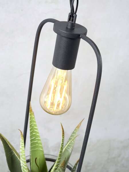 MUZZA STROPNÁ LAMPA FLORENCE S KVETINÁČOM ČIERNA