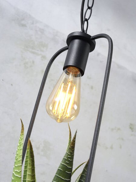 MUZZA STROPNÁ LAMPA FLORENCE S KVETINÁČOM ČIERNA