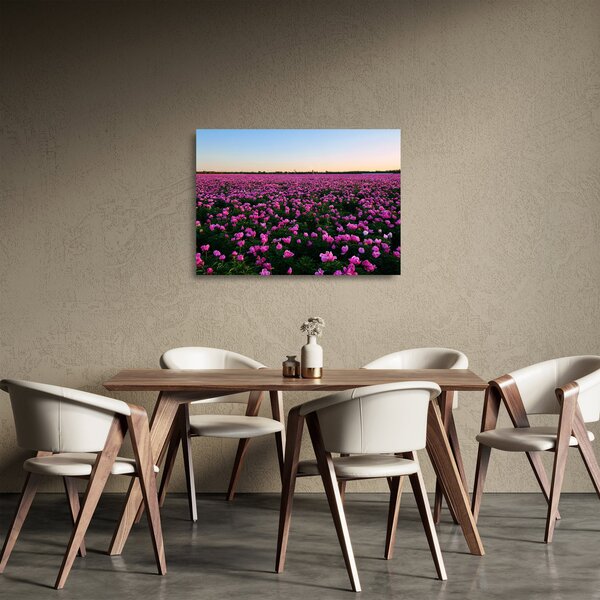 Sklenený obraz - Lúka fialových tulipánov (70x50 cm)