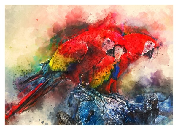 Sklenený obraz červených papagájov ara (70x50 cm)