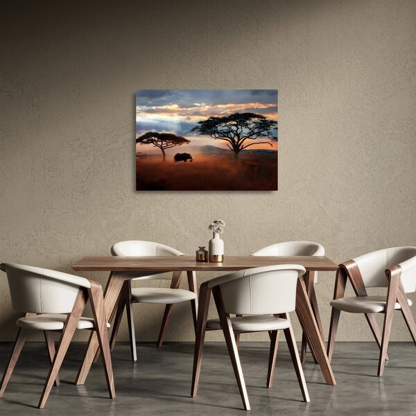 Sklenený obraz - Národný park Serengeti, Tanzánia, Afrika (70x50 cm)
