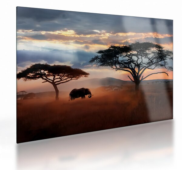 Sklenený obraz - Národný park Serengeti, Tanzánia, Afrika (70x50 cm)