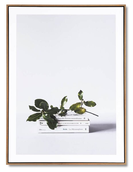 MUZZA Obraz livre 60 x 80 cm