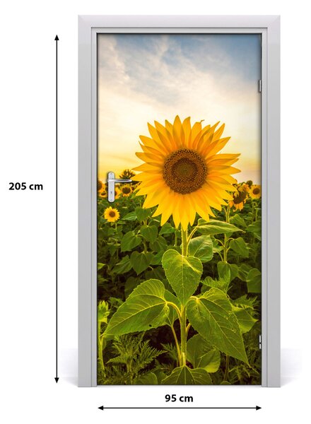Fototapeta samolepiace dvere pole slnečníkov 95x205 cm