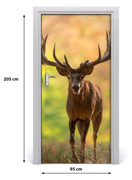 Fototapeta samolepiace na dvere jeleň v lese 95x205 cm