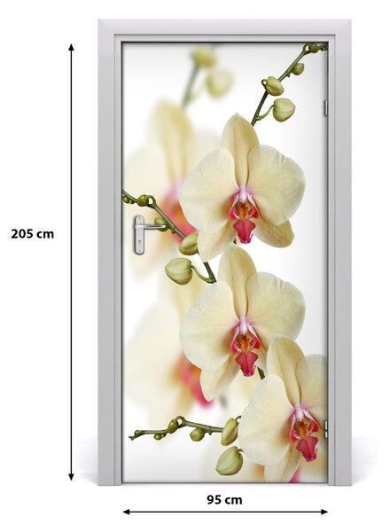 Samolepiace fototapety na dvere orchidea 95x205 cm