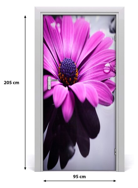 Samolepiace fototapety na dvere ružová gerbera 95x205 cm