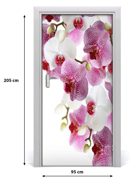 Fototapeta na dvere orchidea 95x205 cm
