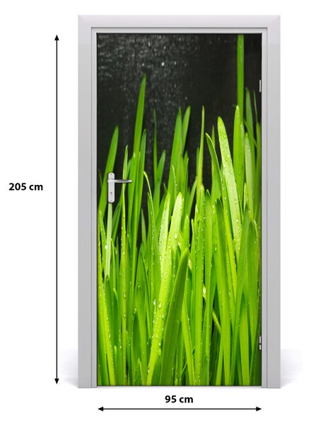 Fototapeta na dvere tráva 95x205 cm