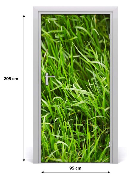Samolepiace fototapety na dvere tráva 95x205 cm