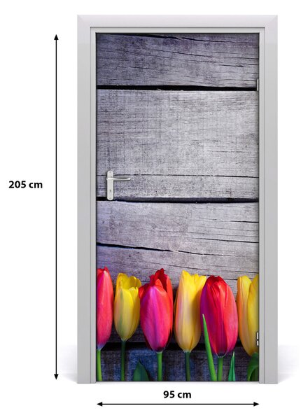 Samolepiace fototapety na dvere farebné tulipány 95x205 cm