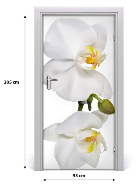 Samolepiace fototapety na dvere biela orchidea 95x205 cm