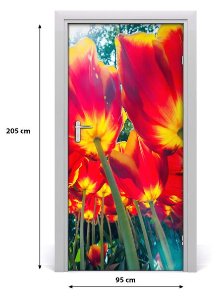 Fototapeta na dvere tulipány 95x205 cm