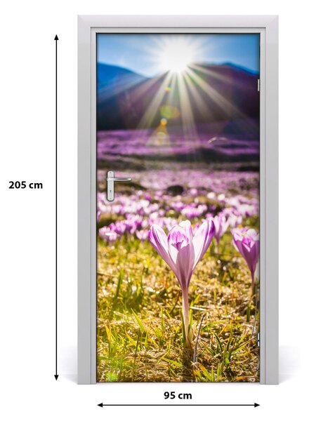 Fototapeta na dvere samolepiace Krókusy v horách 95x205 cm