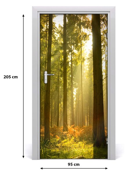 Fototapeta na dvere pekný les 95x205 cm