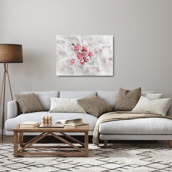 Sklenený obraz - Zamrznuté plody (70x50 cm)