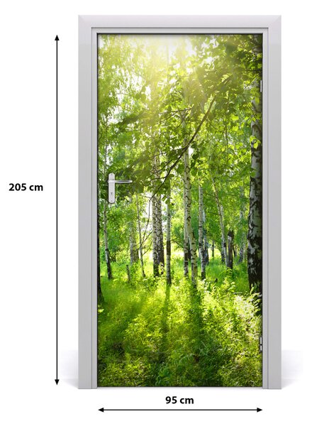 Fototapeta na dvere Břízová les 95x205 cm