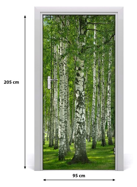 Fototapeta na dvere Břízová les 95x205 cm
