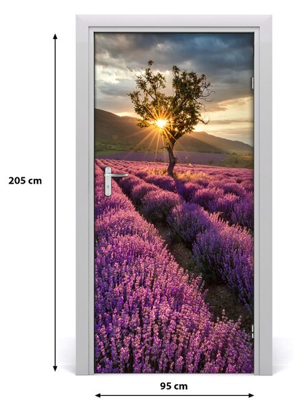 Fototapeta na dvere poľa levanduľa 95x205 cm
