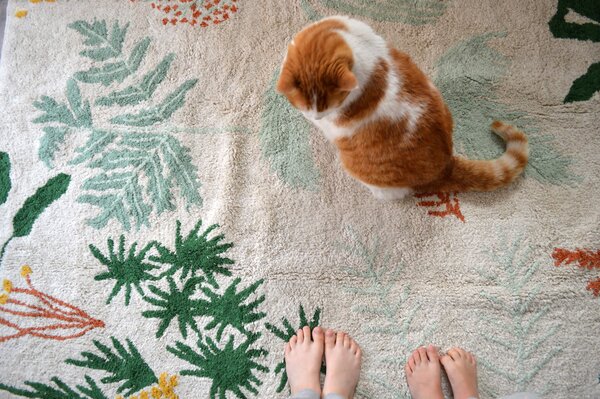 MUZZA Prateľný koberec botanico 140 x 200 cm farebný