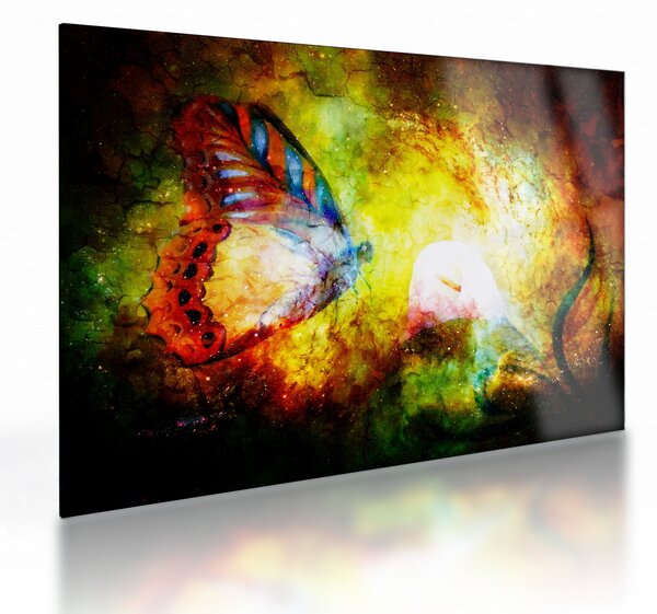 Sklenený obraz - Kozmický motýľ (70x50 cm)