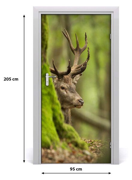 Samolepiace fototapety na dvere jeleň 95x205 cm
