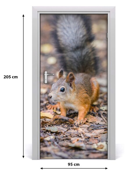 Samolepiace fototapety na dvere Veverička v lezie 95x205 cm