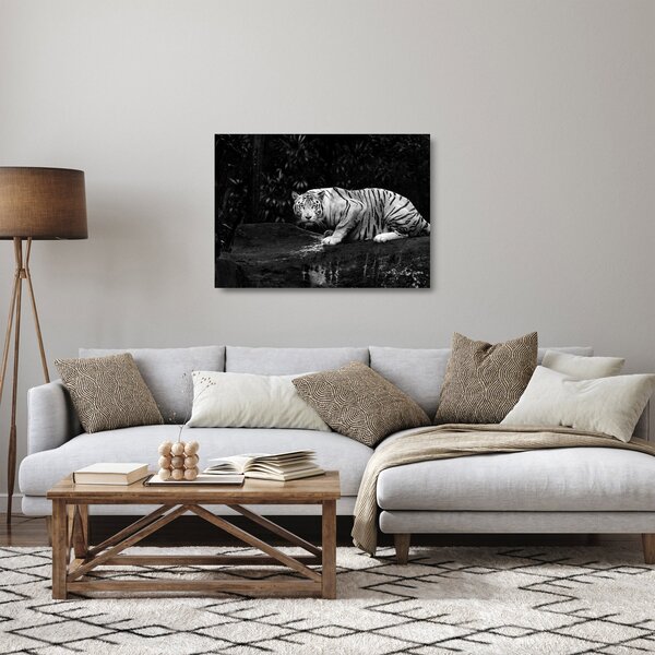 Sklenený obraz - Tiger albín, čiernobiely (70x50 cm)