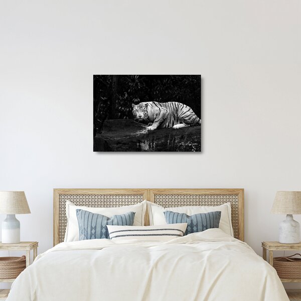 Sklenený obraz - Tiger albín, čiernobiely (70x50 cm)
