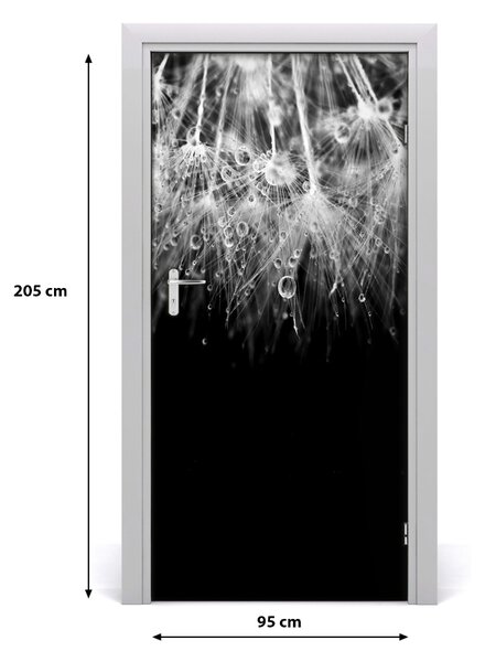 Fototapeta samolepiace semená púpavy 95x205 cm