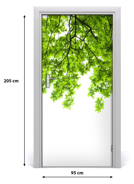 Fototapeta samolepiace koruna stromu 95x205 cm