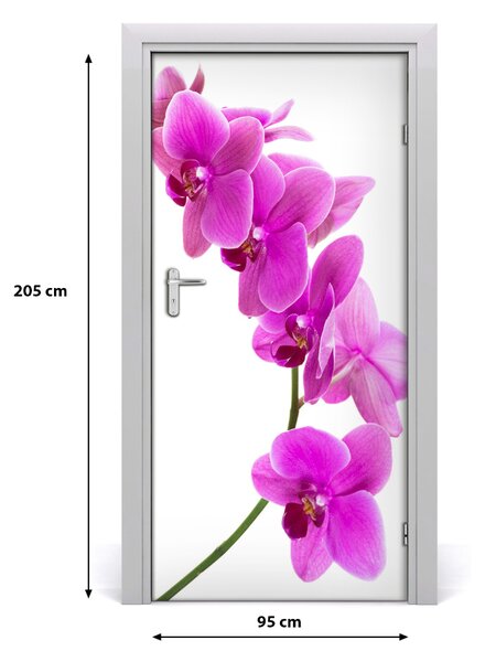Fototapeta samolepiace ružová orchidea 95x205 cm
