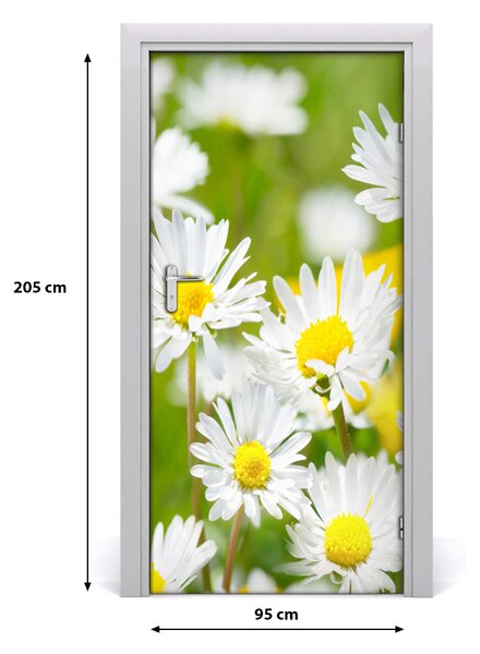 Fototapeta samolepiace sedmokrásky 95x205 cm