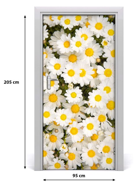 Fototapeta samolepiace kvety sedmokrásky 95x205 cm