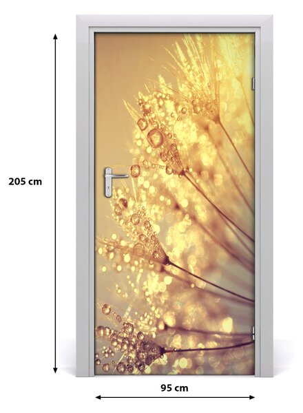 Fototapeta samolepiace semená púpavy 95x205 cm