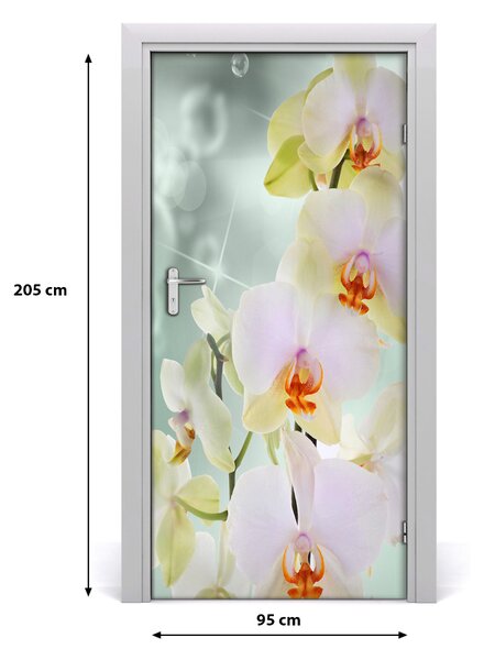 Fototapeta samolepiace orchidea 95x205 cm