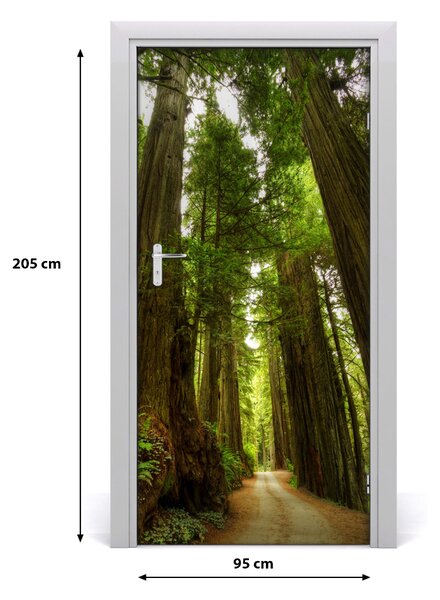 Fototapeta na dvere chodník v lese 95x205 cm