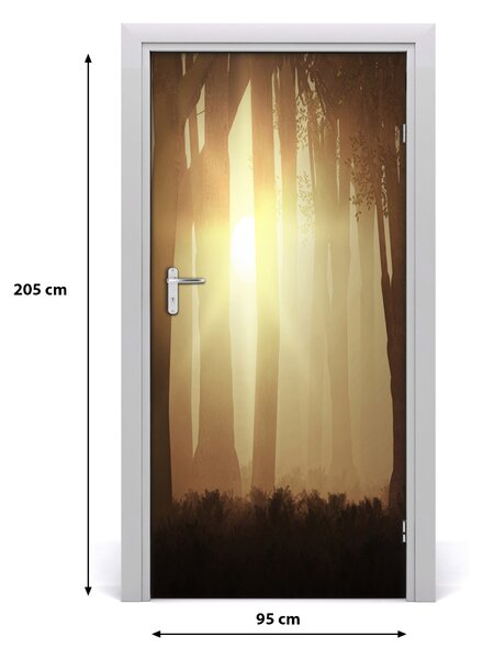 Fototapeta na dvere hmla v lese 95x205 cm