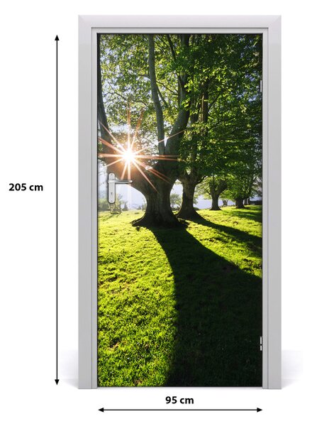 Fototapeta na dvere park 95x205 cm