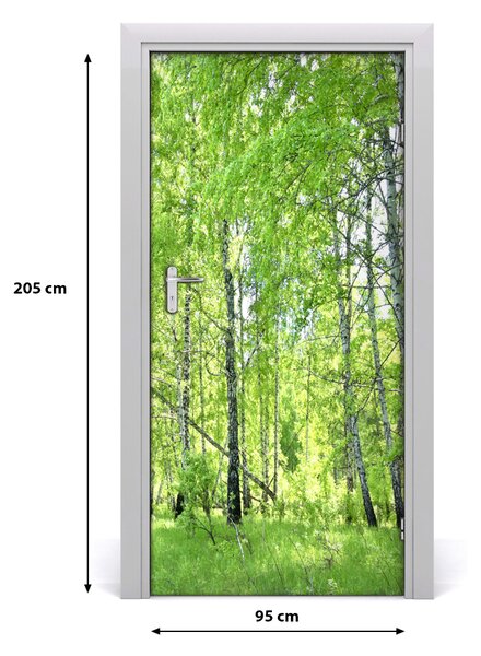 Fototapeta na dvere Břízová les 95x205 cm