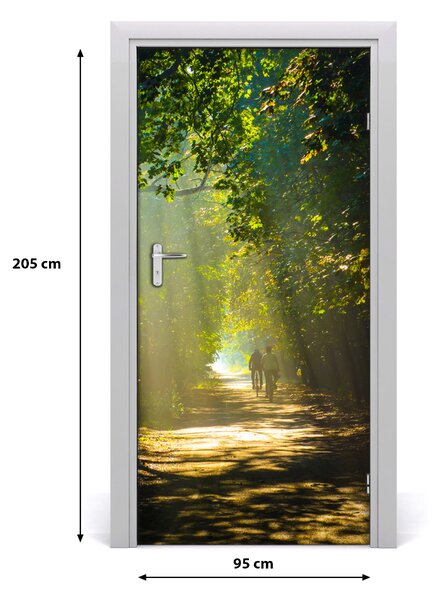 Fototapeta na dvere chodník v lese 95x205 cm