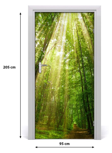 Fototapeta na dvere chodník v lese 95x205 cm