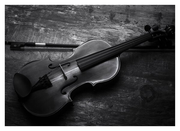 Sklenený obraz - Viola (70x50 cm)