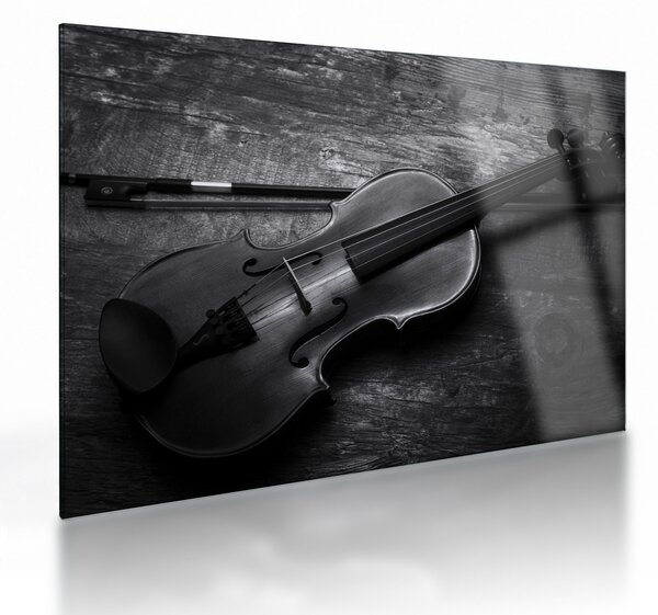 Sklenený obraz - Viola (70x50 cm)