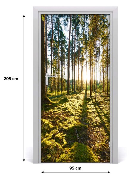 Fototapeta na dvere Sosny les 95x205 cm