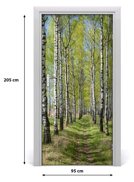 Fototapeta na dvere samolepiace Břízová les 95x205 cm